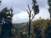 mtkenia