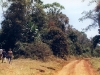 mtkenianp