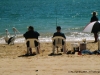 au_brissie_peli_03