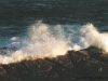 au_sydney22