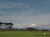 nz_mtegmo_31a