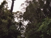 nz_mtegmo_32a