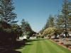 nz_napier_26a