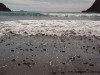 nz_newplymo_28a