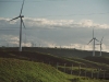 nz_windpark_17a