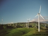 nz_windpark_19a