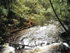 tassi_river04