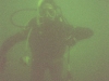 tassie_dive_0a