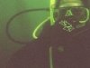 tassie_dive_0b