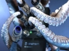 octopuslogo